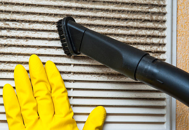 Best Professional Duct Cleaning Services  in Blue Springs, MO